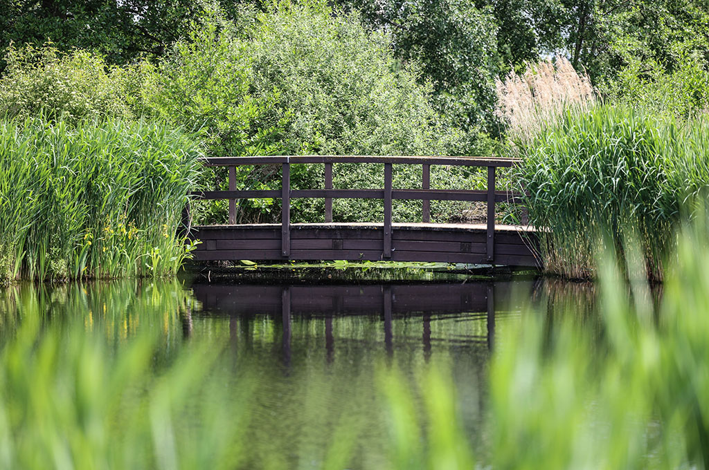 Brücke zum Damenabschlag an Bahn 11
