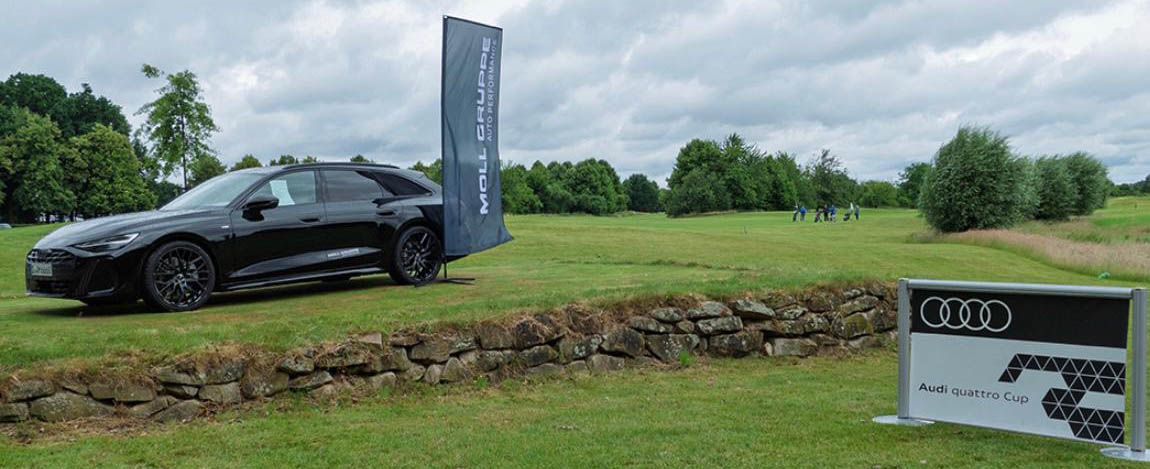Audi-Cup
