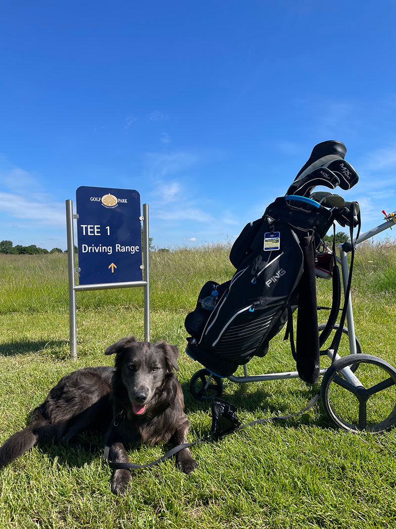 Golf & Hund